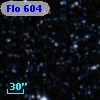 Flo 604