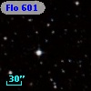 Flo 601