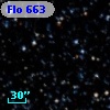 Flo 663