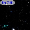 Flo 749