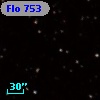 Flo 753