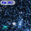 Flo 302