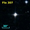 Flo 307