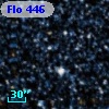 Flo 446
