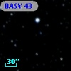BASV  43
