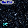 Flo 124