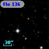 Flo 136