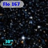 Flo 167