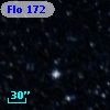 Flo 172