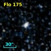 Flo 175