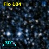 Flo 184