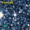 Flo 189