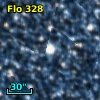 Flo 328