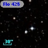 Flo 428