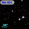 Flo 431