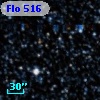Flo 516