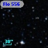 Flo 556