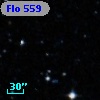 Flo 559