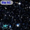 Flo  85