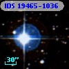 IDS 19465-1036