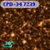 CPD-34  7239