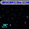 [BFO2002] Dra 12304