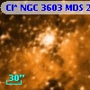 Cl* NGC 3603    MDS      22