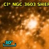 Cl* NGC 3603   SHER      22
