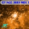 Cl* NGC 3603    MDS       7