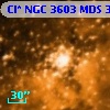 Cl* NGC 3603    MDS       3