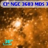 Cl* NGC 3603    MDS      76