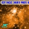 Cl* NGC 3603    MDS      63