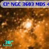 Cl* NGC 3603    MDS       4