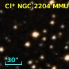 Cl* NGC 2204    MMU    1212
