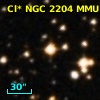 Cl* NGC 2204    MMU    2212
