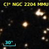 Cl* NGC 2204    MMU    2311