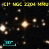 Cl* NGC 2204    MMU    3304