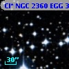 Cl* NGC 2360    EGG      30