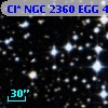 Cl* NGC 2360    EGG      44