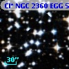 Cl* NGC 2360    EGG      59