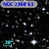 NGC  2360    61