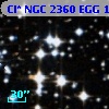 Cl* NGC 2360    EGG     116