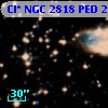 Cl* NGC 2818    PED     217