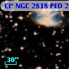 Cl* NGC 2818    PED     235