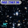 NGC  2567    36