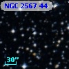 NGC  2567    44