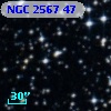 NGC  2567    47