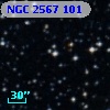 NGC  2567   101
