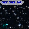 NGC  2567   109