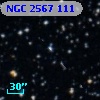 NGC  2567   111